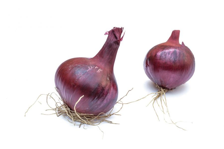 two purple onions