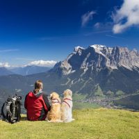 Camping and Hiking With Your Dog: What You Need to Know