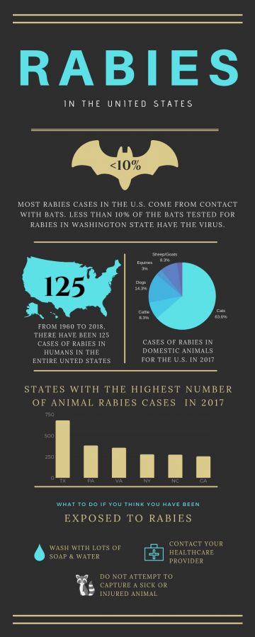 Which animals in Washington State typically carry rabies?