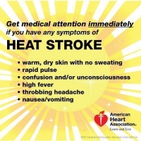 Heat Exhaustion and Heat Stroke: What’s the difference?